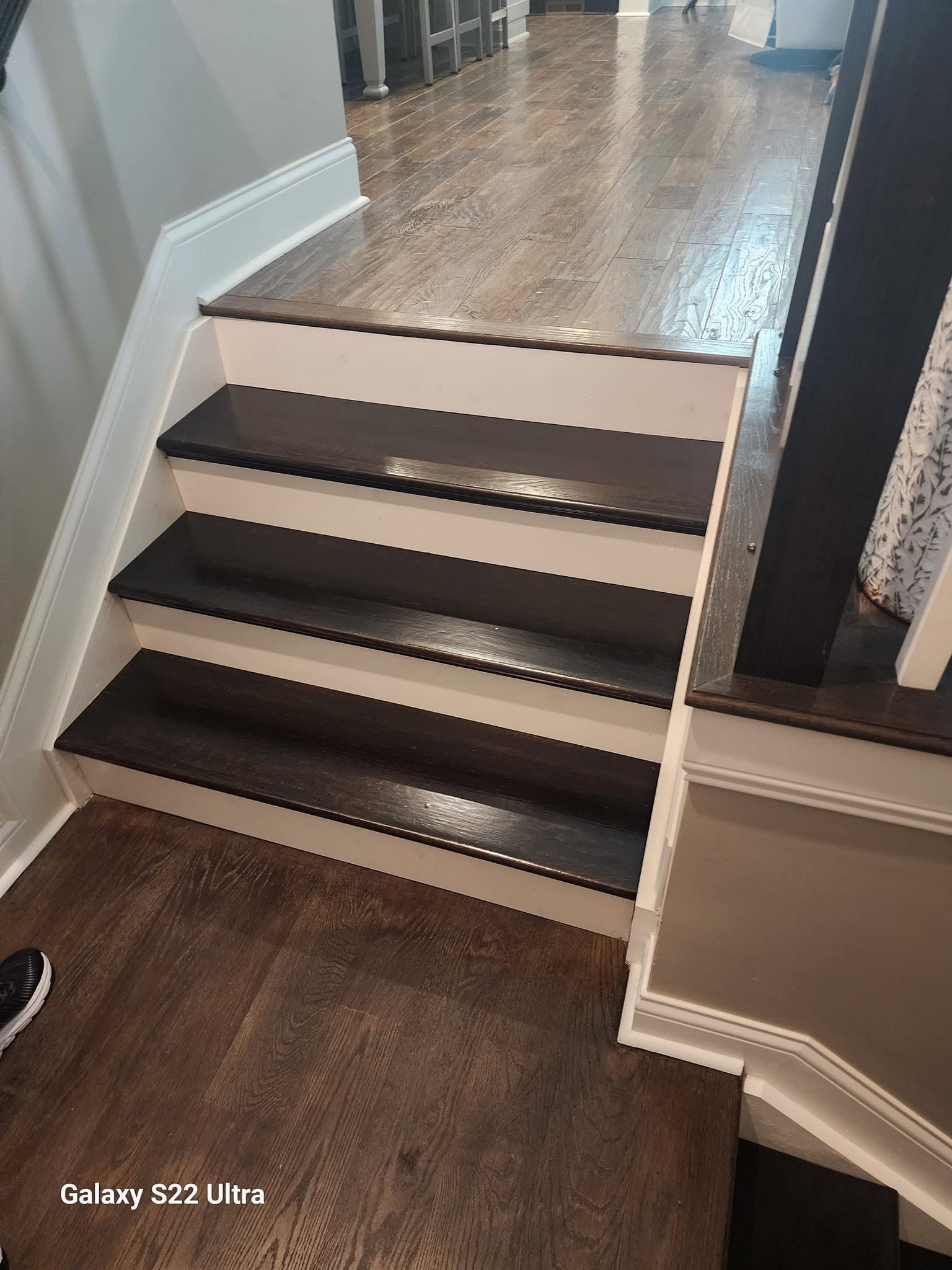 Short carpeted stair step between wood floors, with white trim and dark risers in a hallway