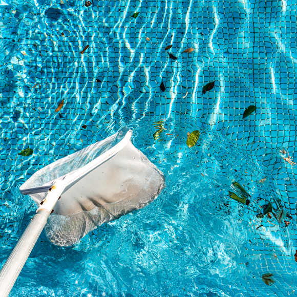 Pool skimmer net in bright blue water with floating leaves and debris