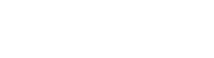 White horizontal banner with a thin black line across the middle on a light background