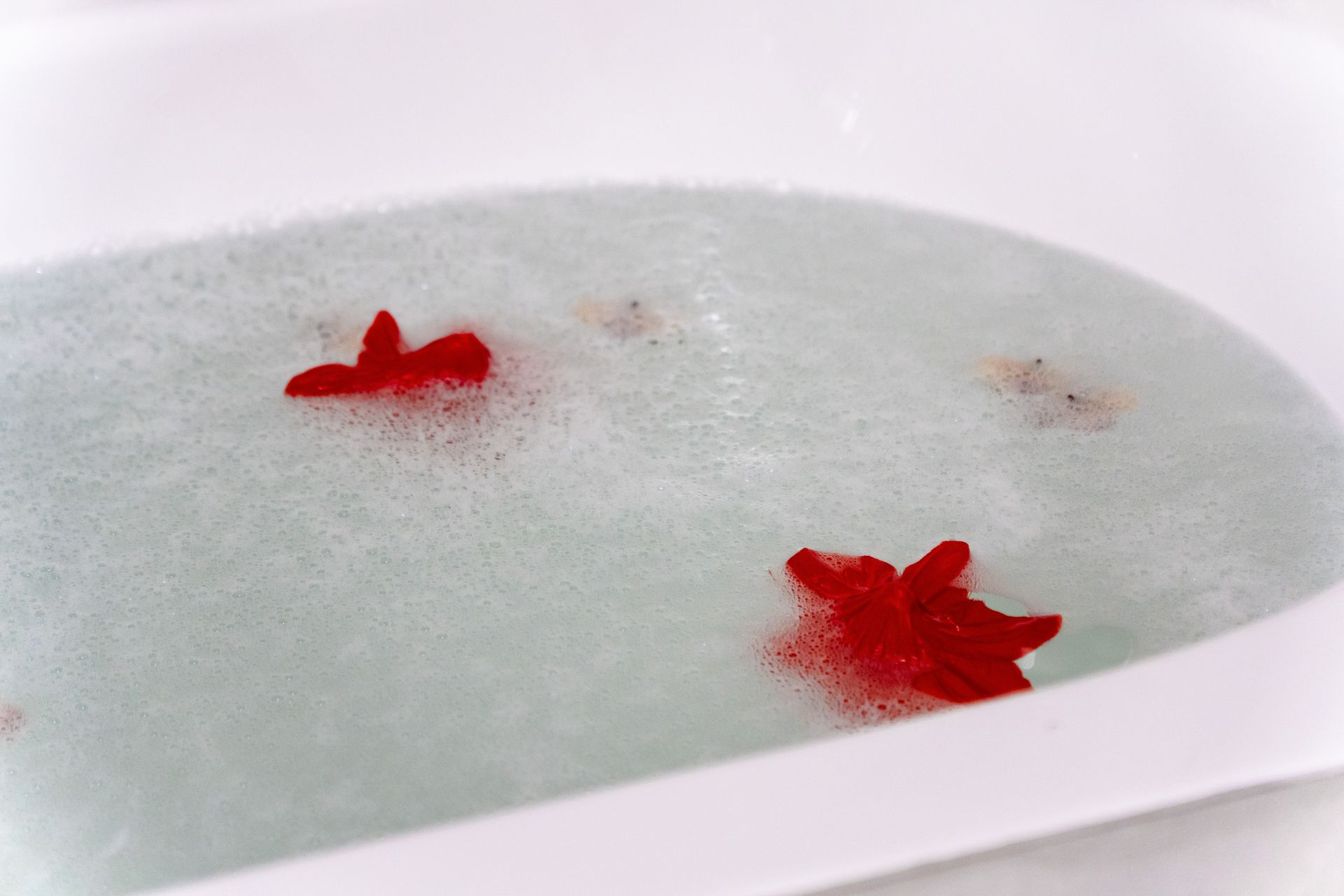 Bathtub filled with water and floating flower petals 