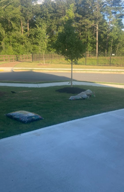 A dog is laying in the grass in front of a house.