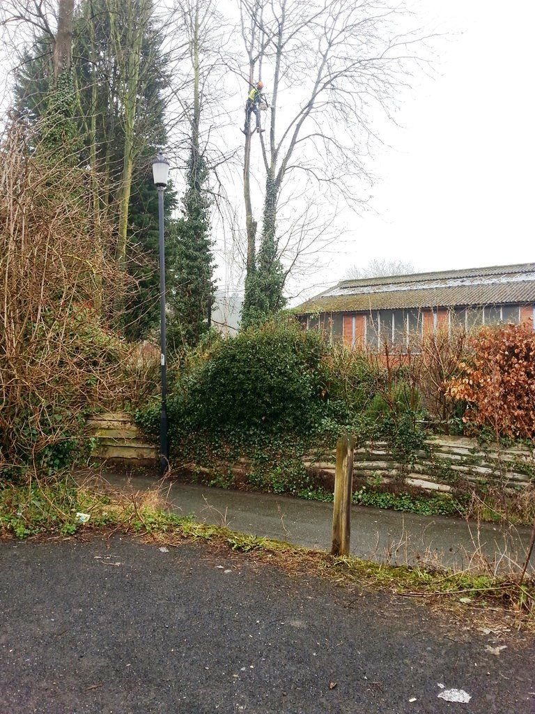 A road with a fence and trees on the side of it.