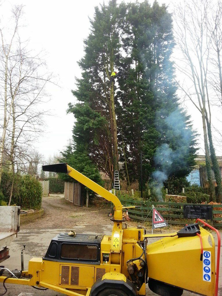 A yellow tree chipper is cutting down a large tree.