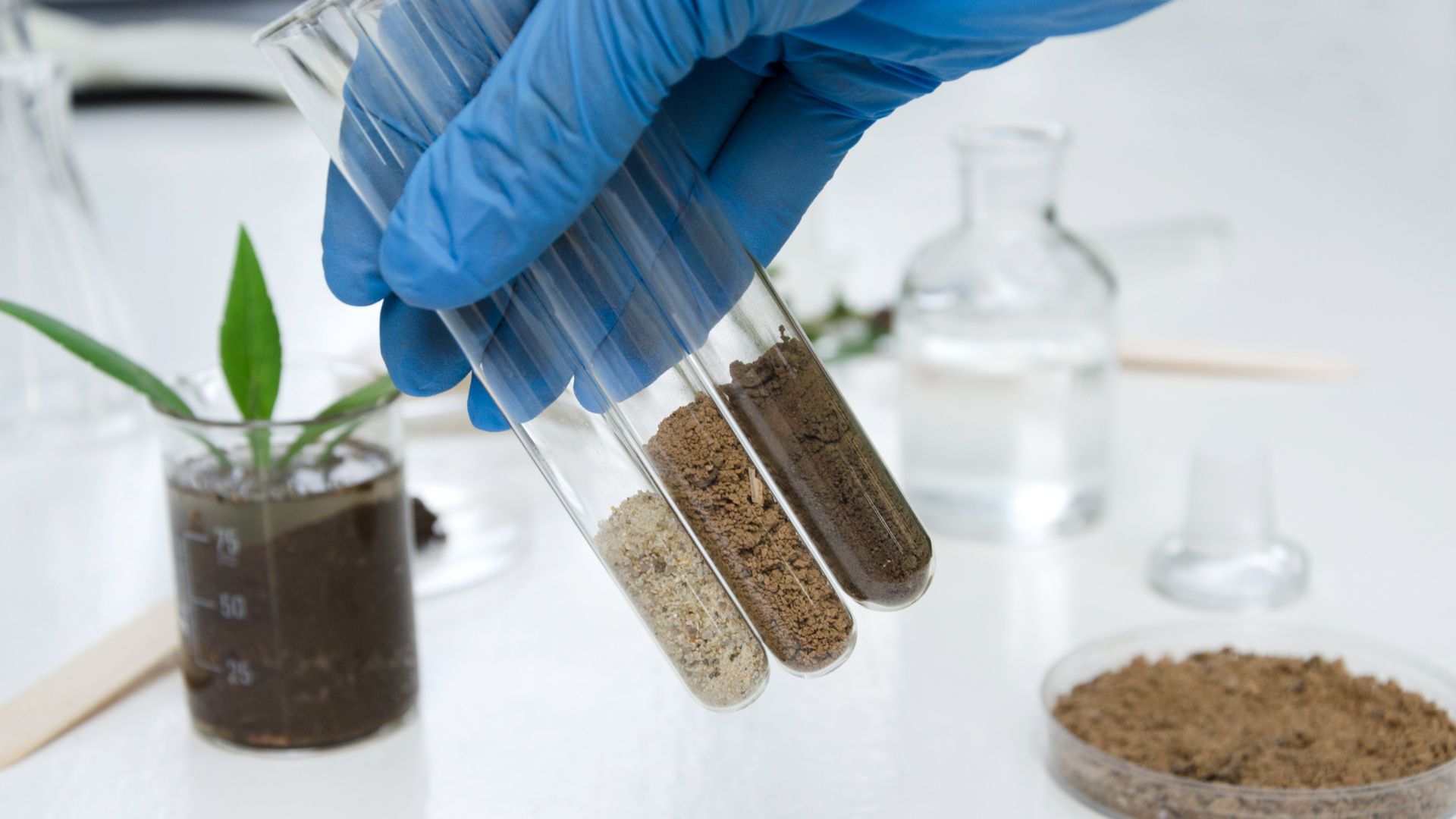 Soil testing and surveying is one of Balparas 