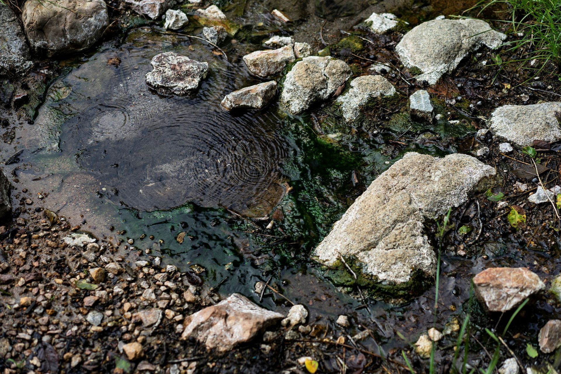Rocks and pebbles beside a shallow stream with dark water and green mossy patches