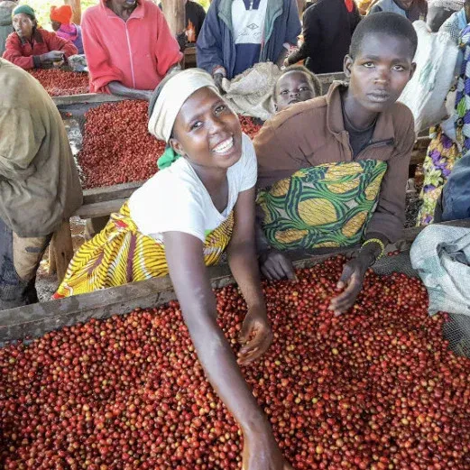 Smiling Woman in Front of Many Berries. Learn About Three Story Coffee's Long Miles Partnership.