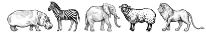 assorted group of a sketch of safari animals, included a rhino, zebra, elephant, lamb, and lion