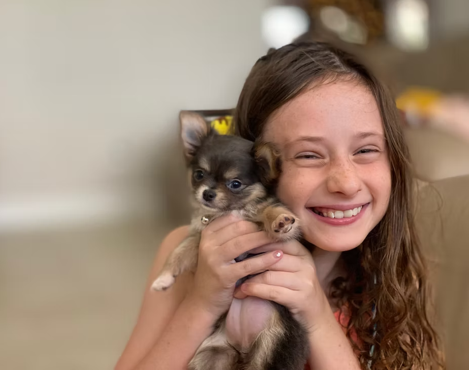 A smiling child holds a small, brown and white long-haired puppy in their arms.