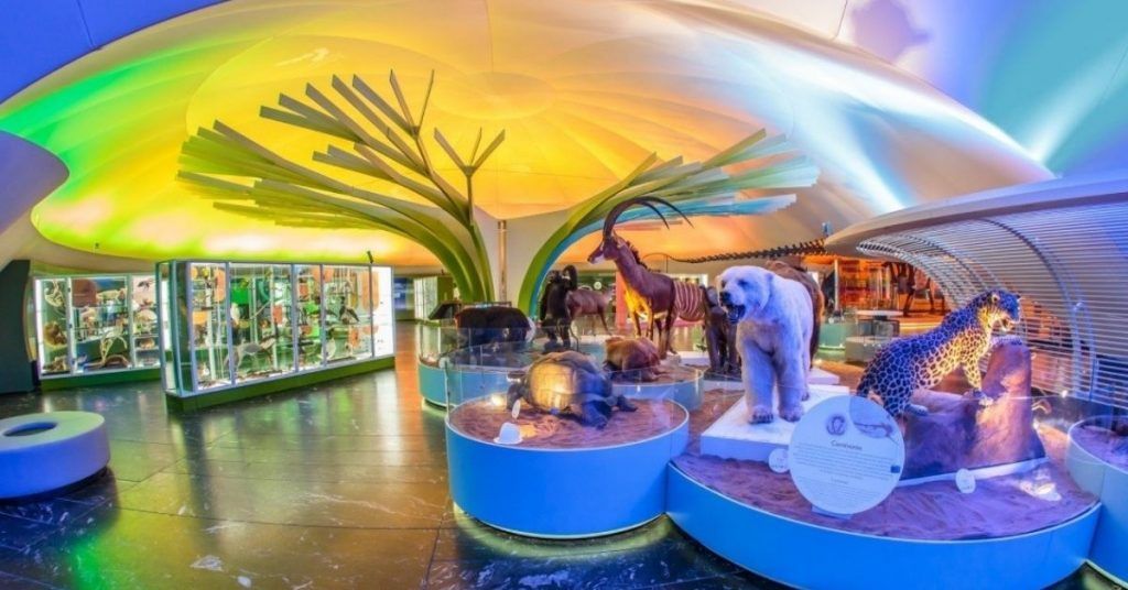 Museo Historia Natural