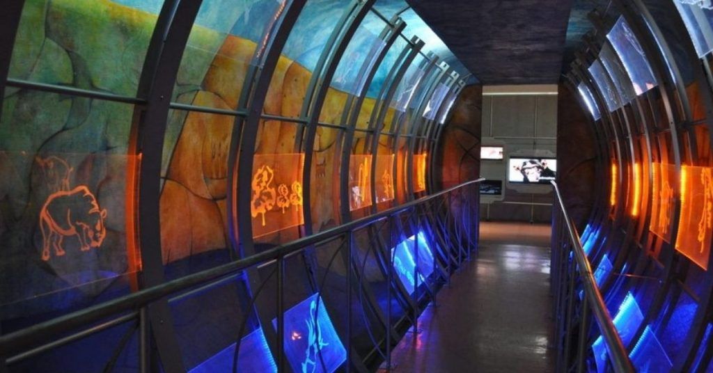 Universum Ciencia