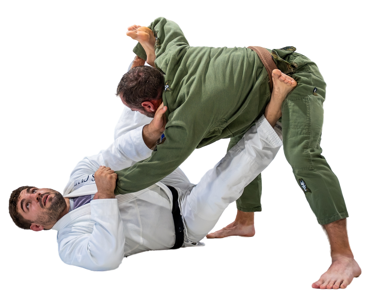 Two martial artists grappling on a white background, one in a white gi and one in a green gi.