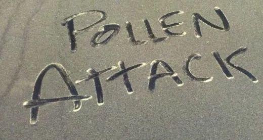 The word pollen is written on a black surface