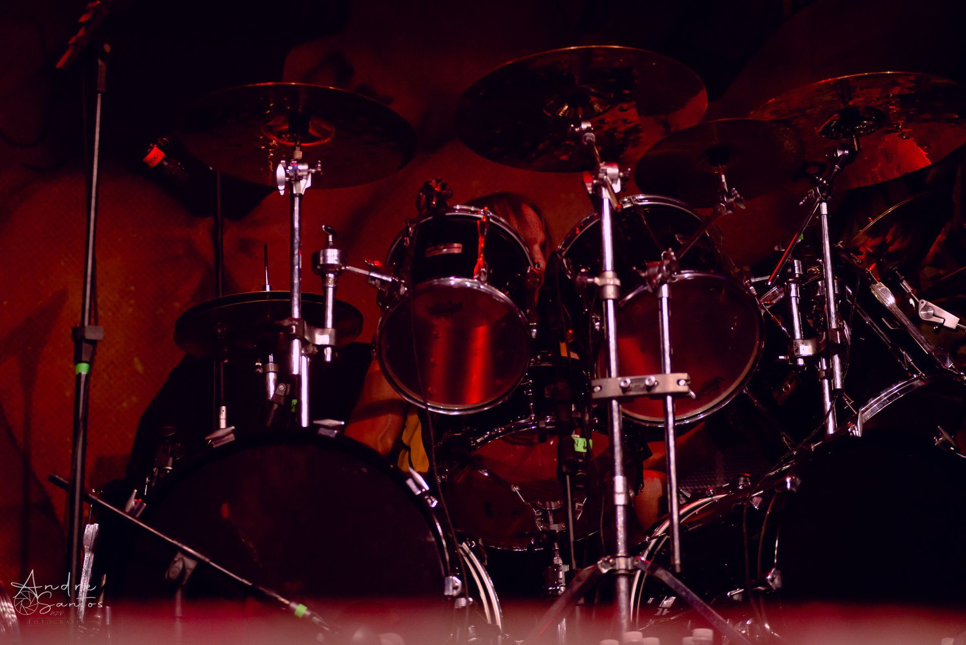 exodus em sp