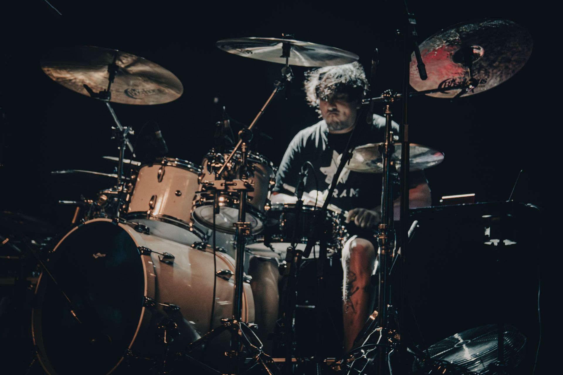 andy addams em SP