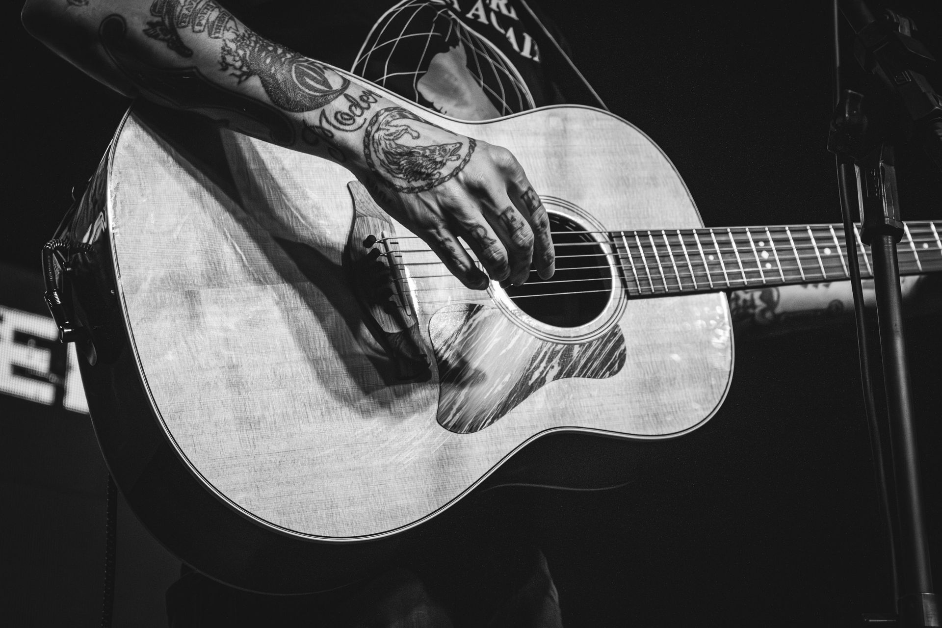 frank turner em SP
