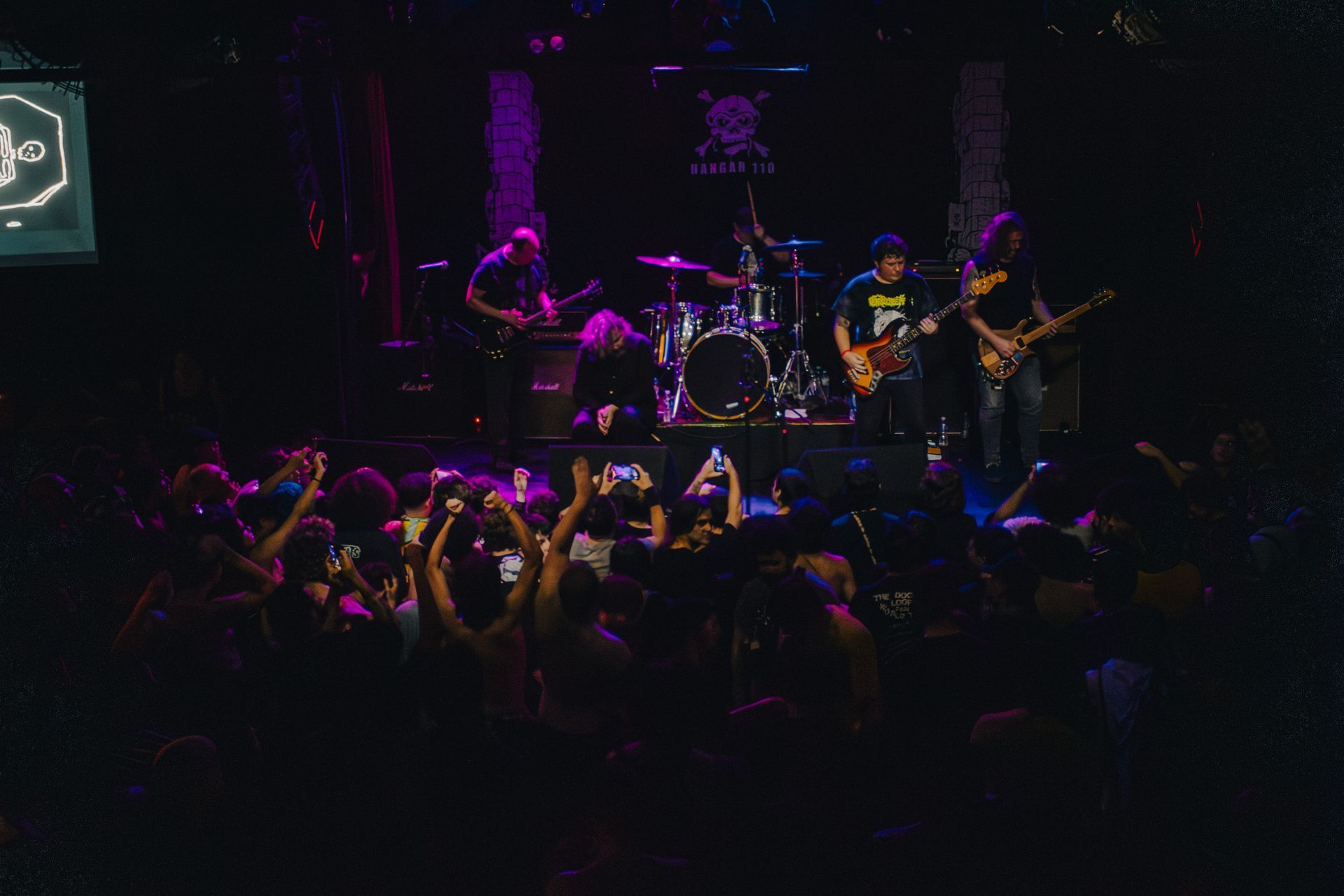 orchid  em SP
