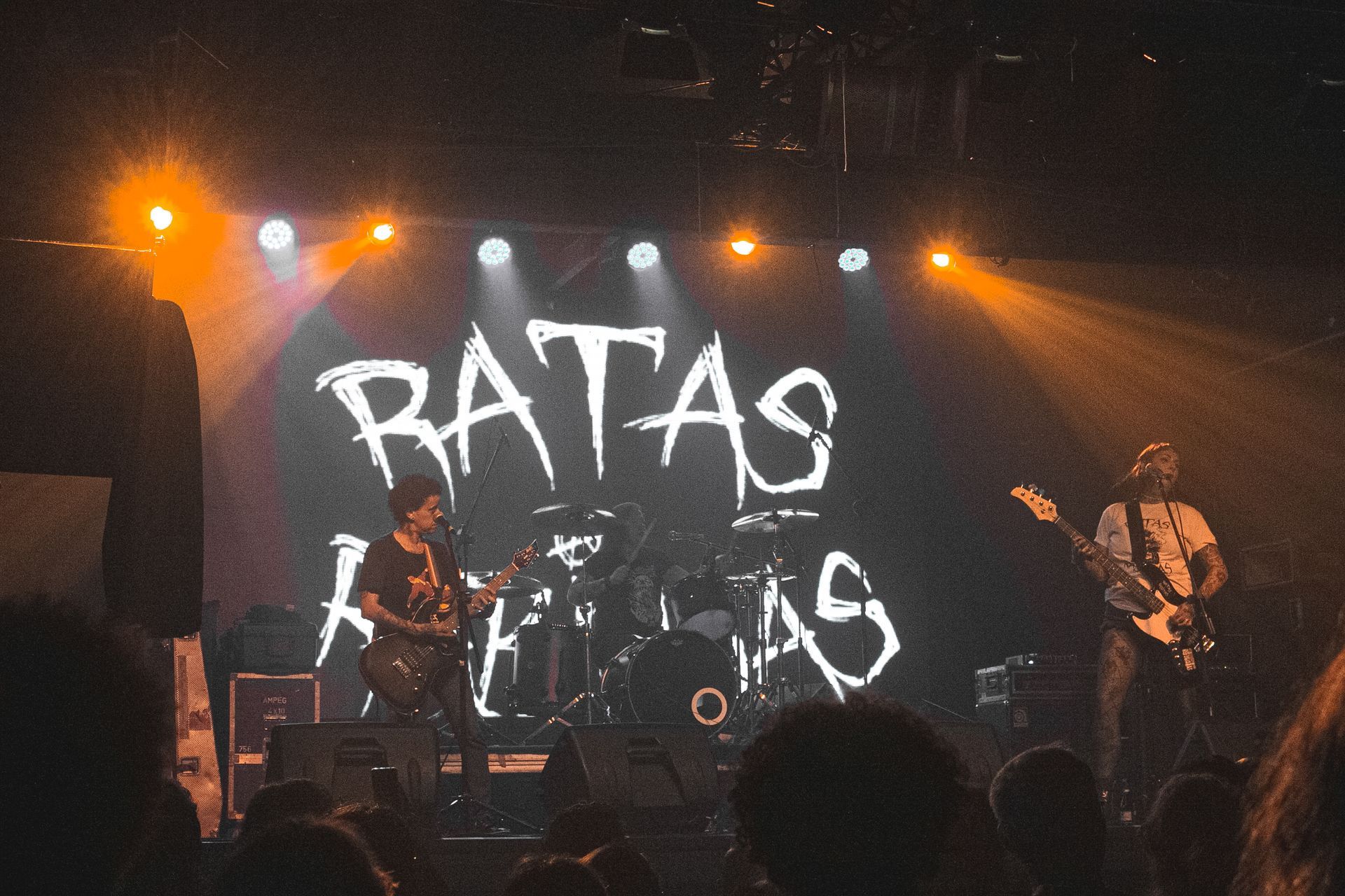 ratas rabiosas em SP