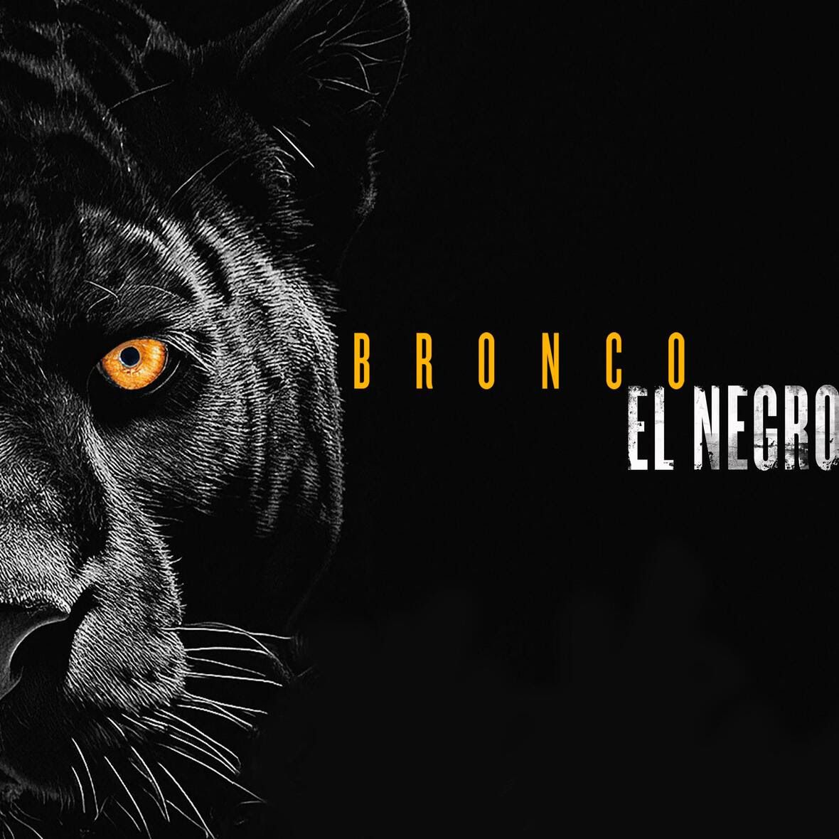 el negro - bronco