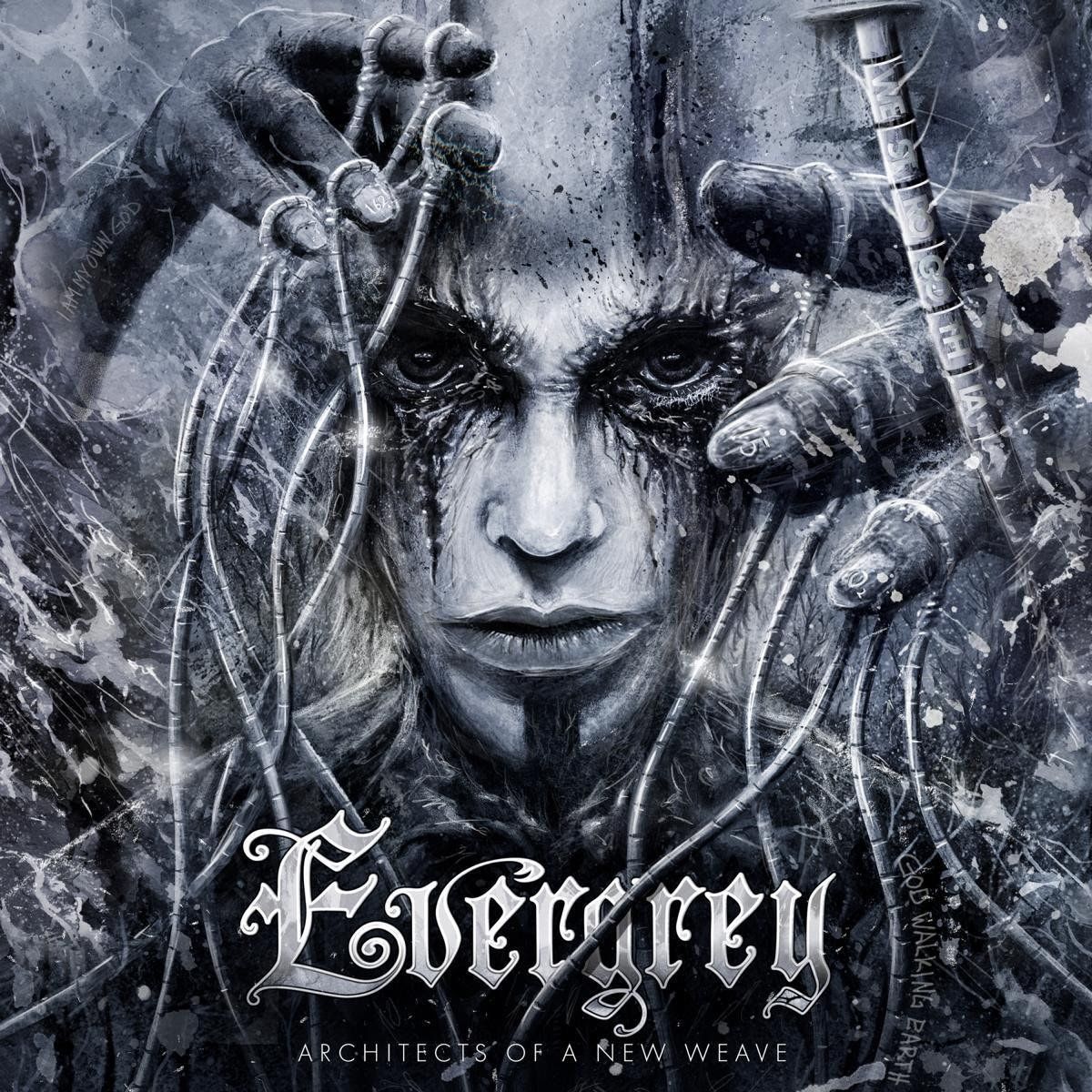 evergrey