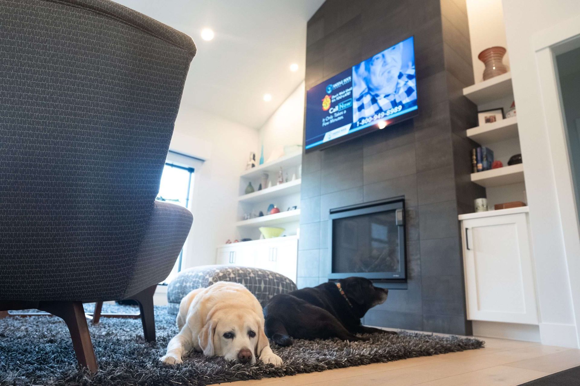 Two dogs resting on a rug in a cozy living room with a TV and fireplace.