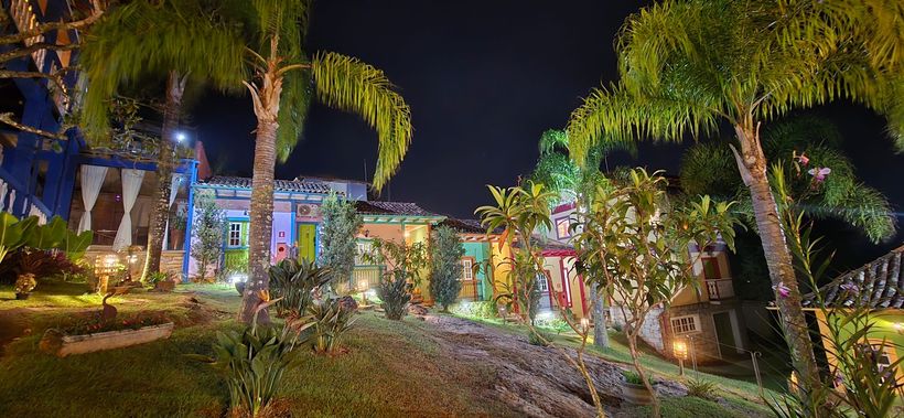 Caminho de jardim tropical à noite com palmeiras, luzes coloridas e um prédio iluminado ao fundo.