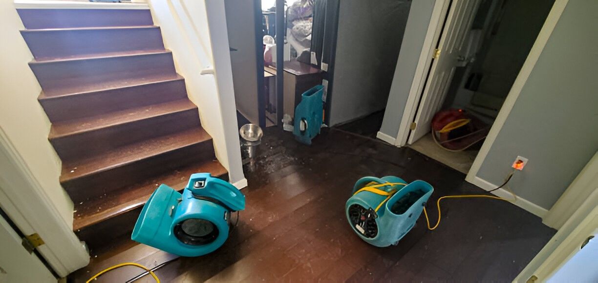 Why Choosing a Local Carpeting Store in Vista, CA Enhances Your Hardwood Floor Installation & Refinishing Experience