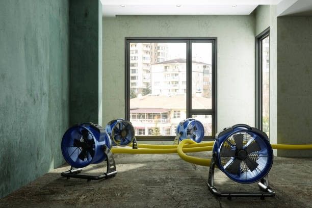 Blue industrial fans connected by yellow hoses inside a room with a city view.