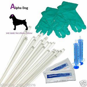 Artificial Insemination for dogs