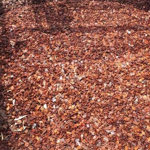 50mm Pine Bark