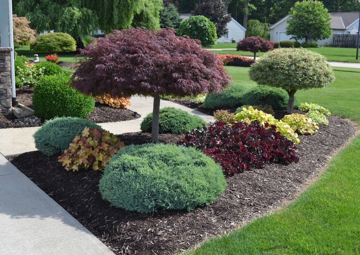 Landscaped garden bed with trimmed shrubs, colorful bushes, and a small tree beside a sidewalk