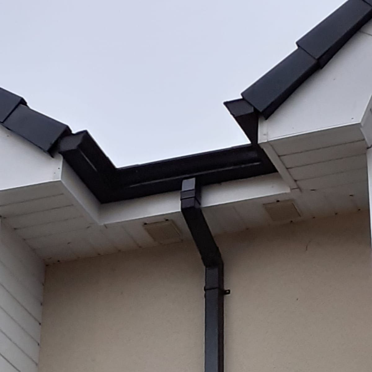 A house with a black gutter and a white roof