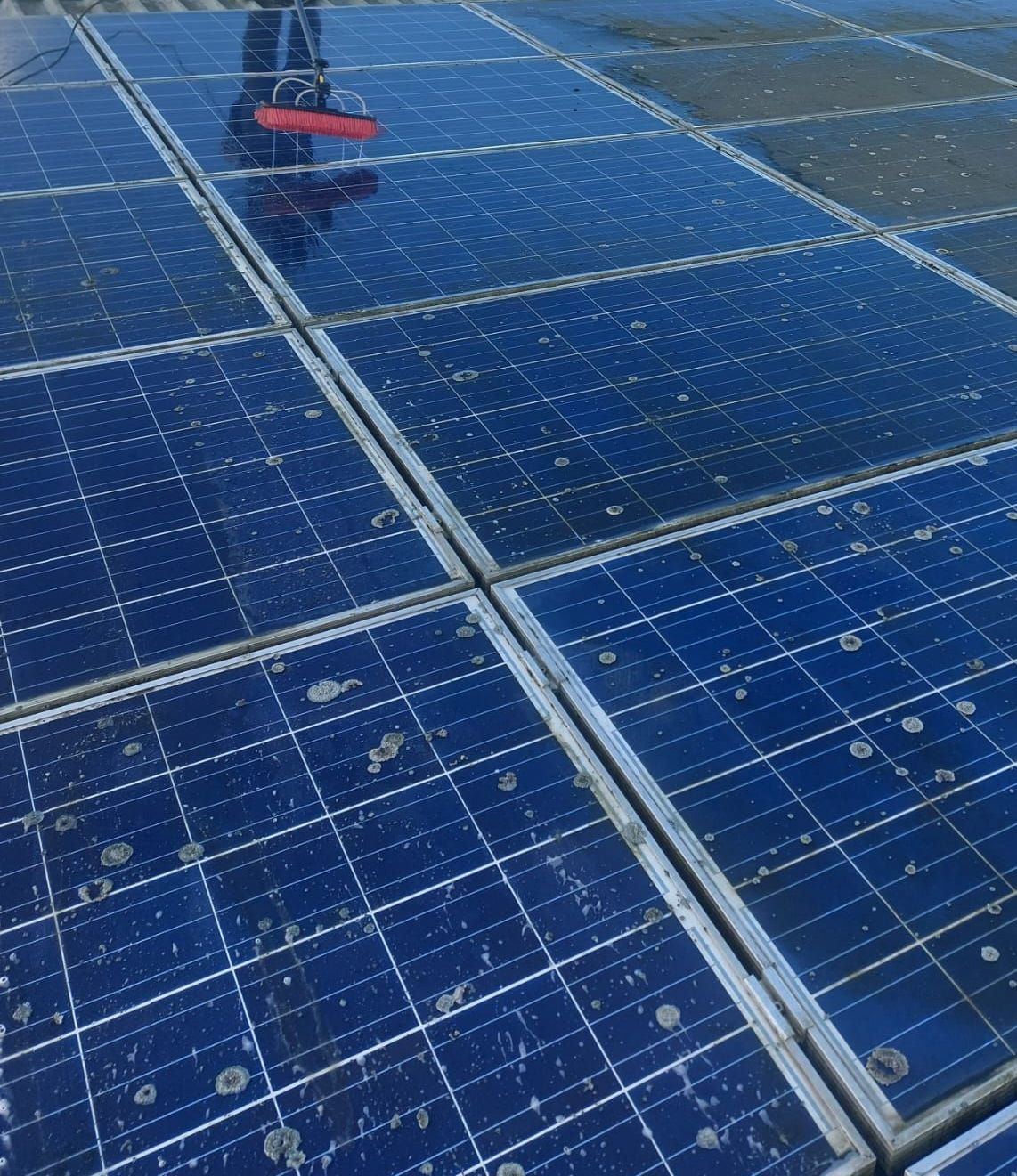 A person is cleaning a solar panel with a broom.