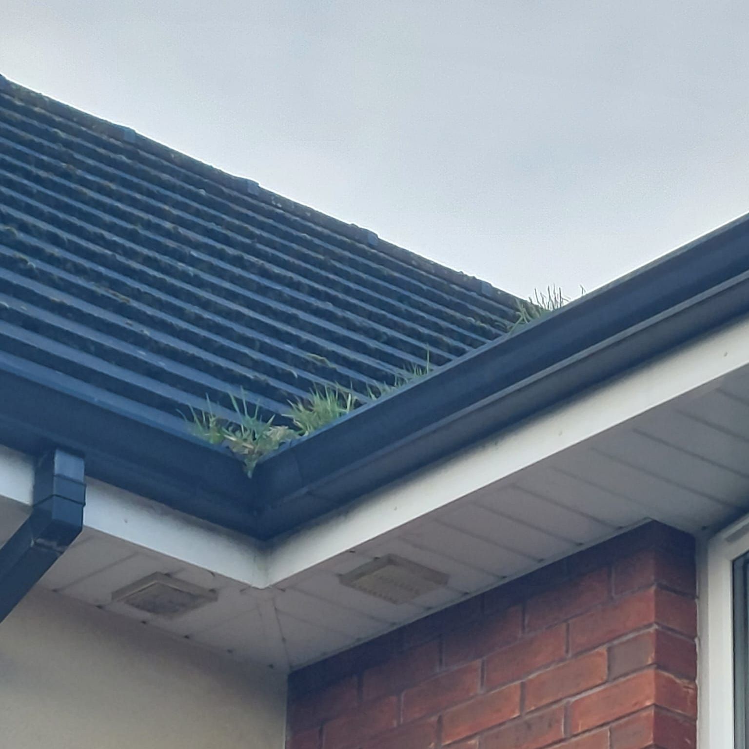 A brick building with a black roof and gutter