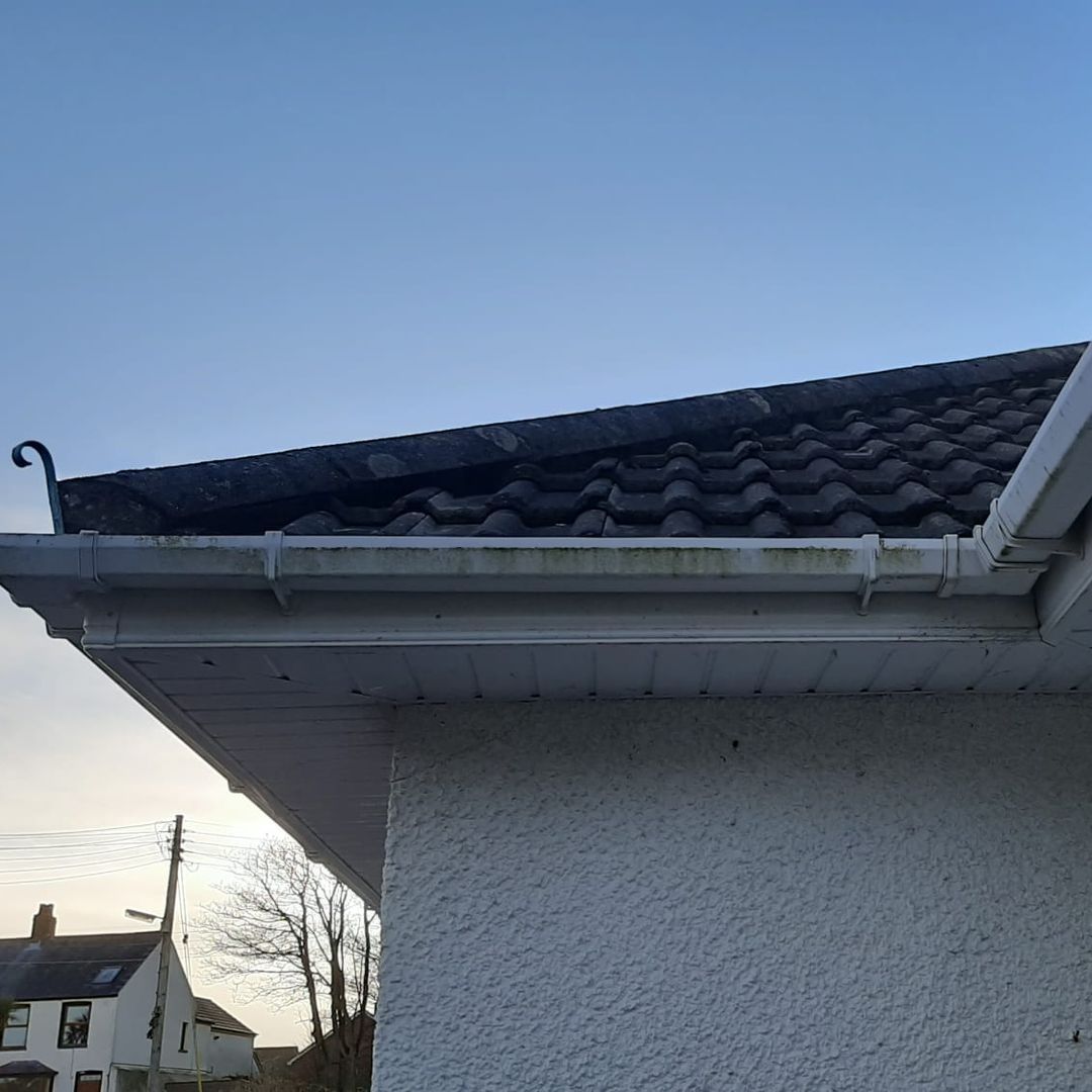 A cat is sitting on the roof of a house.