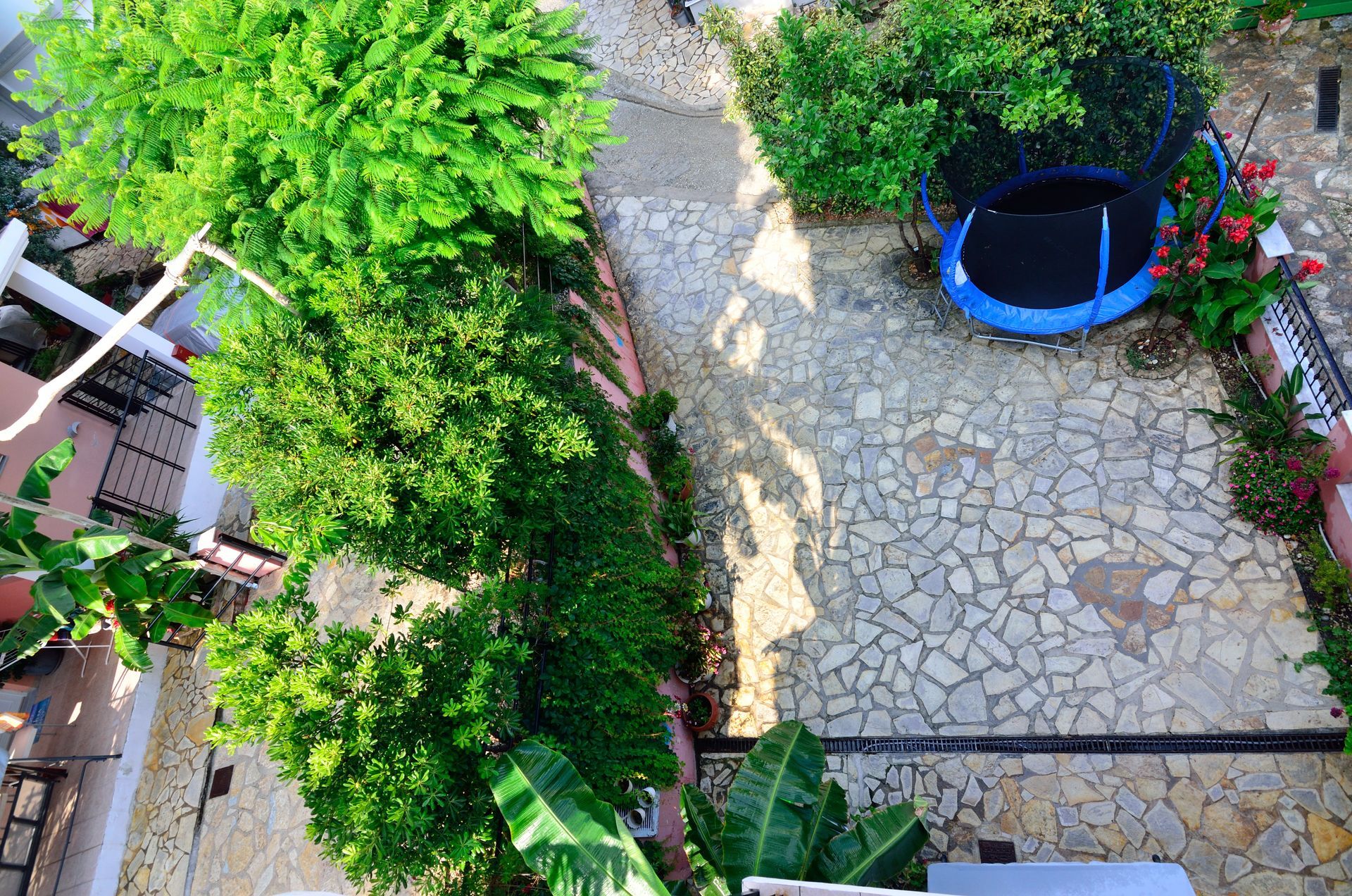 Villa Ektoras gardens