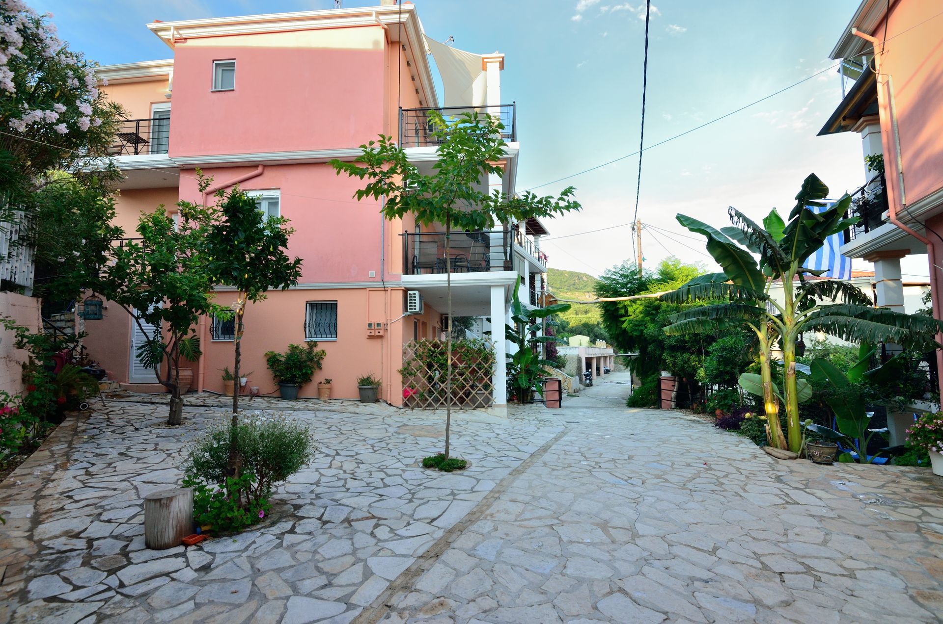 Villa Ektoras gardens