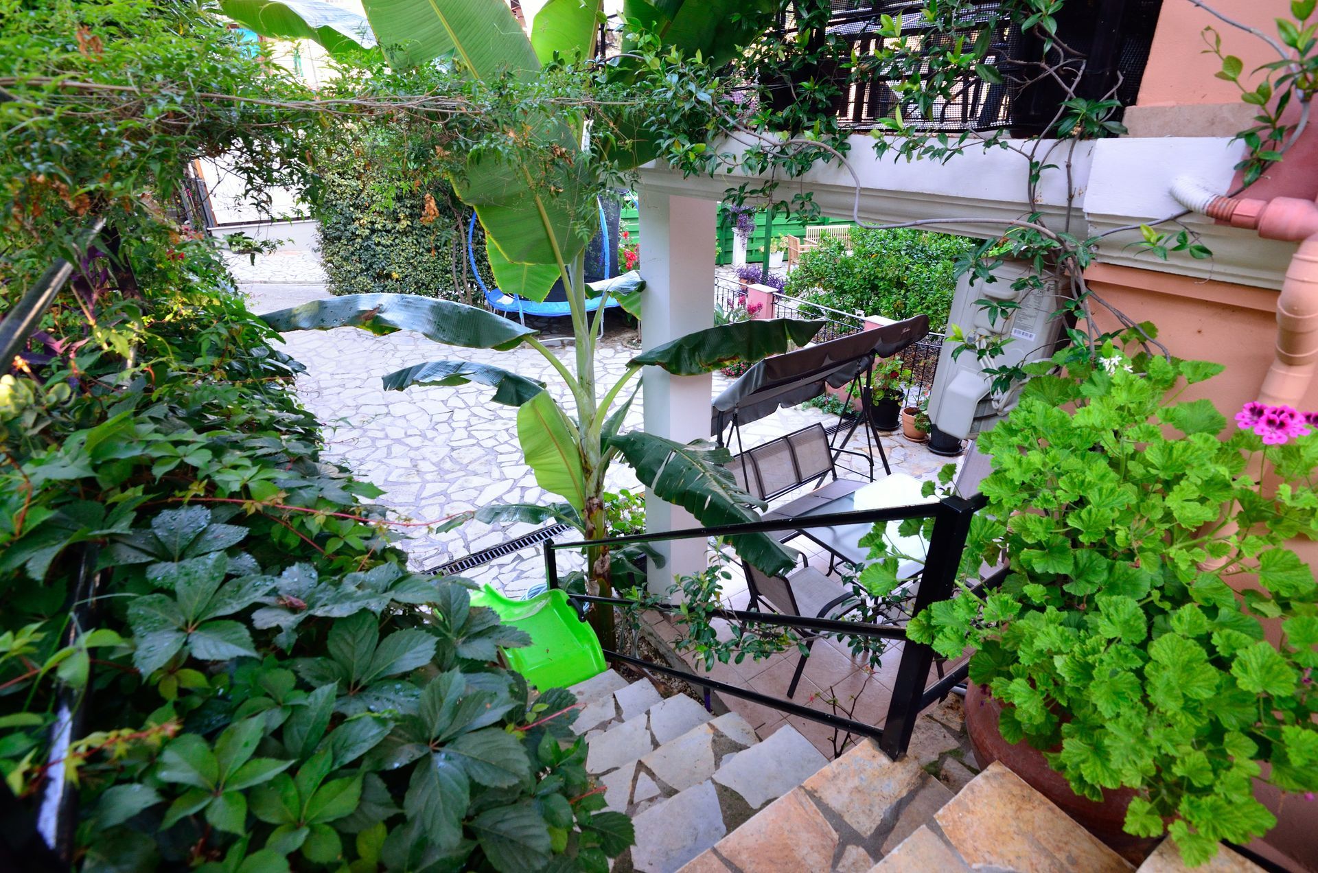 Villa Ektoras gardens