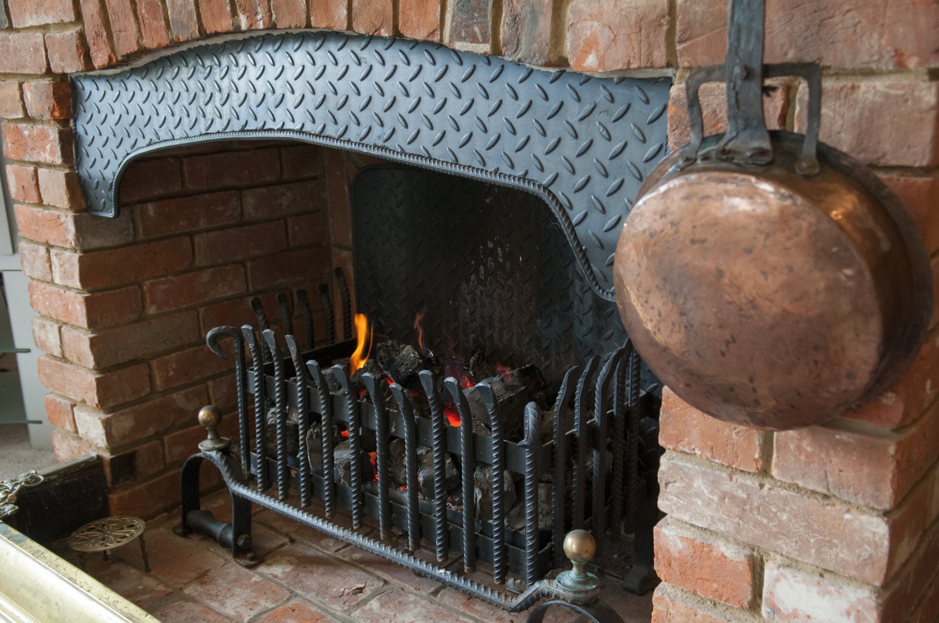 Pest Control and Chimney Services Dallas, TX