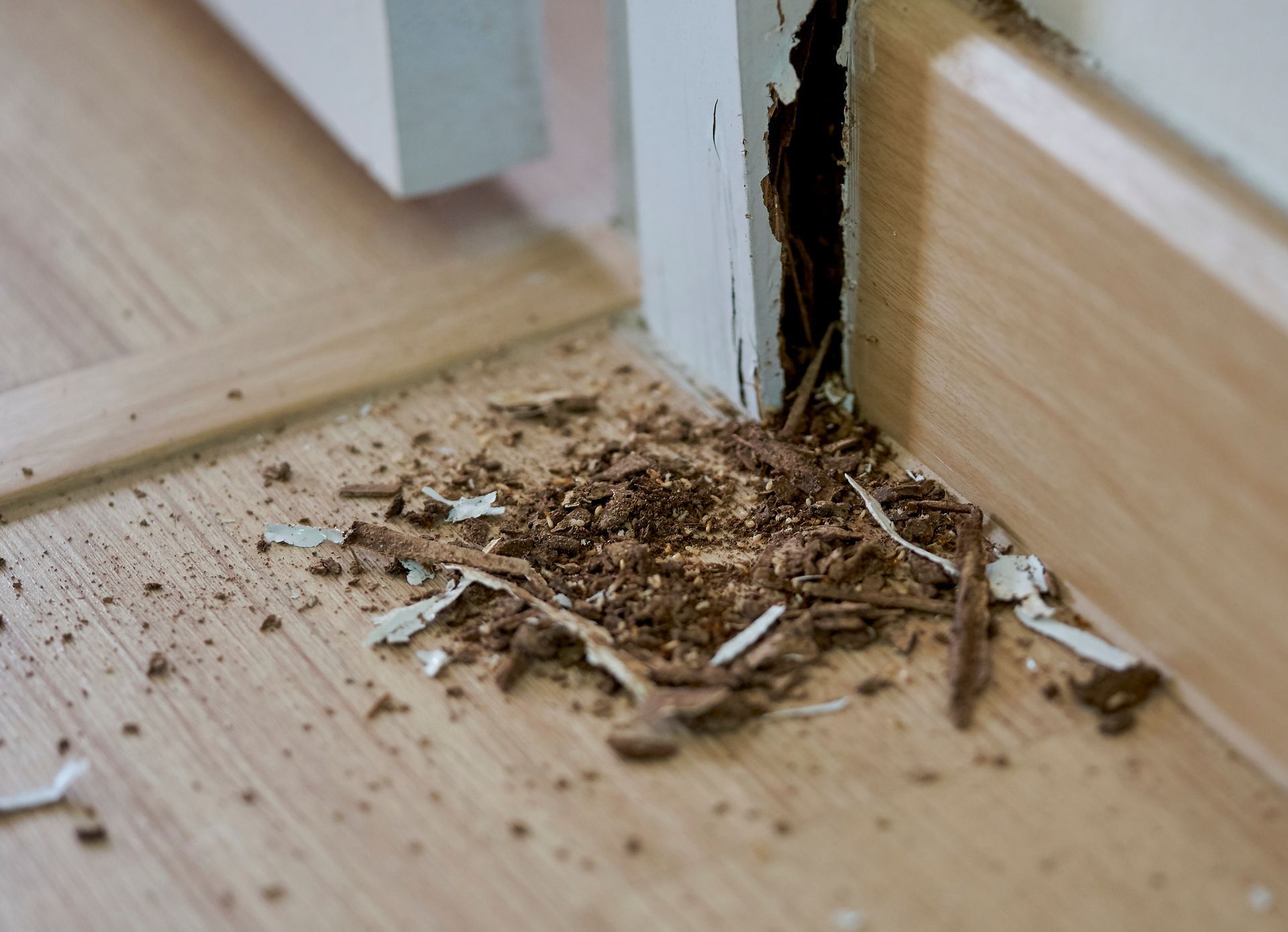 a corner of a wooden floor with a hole in it