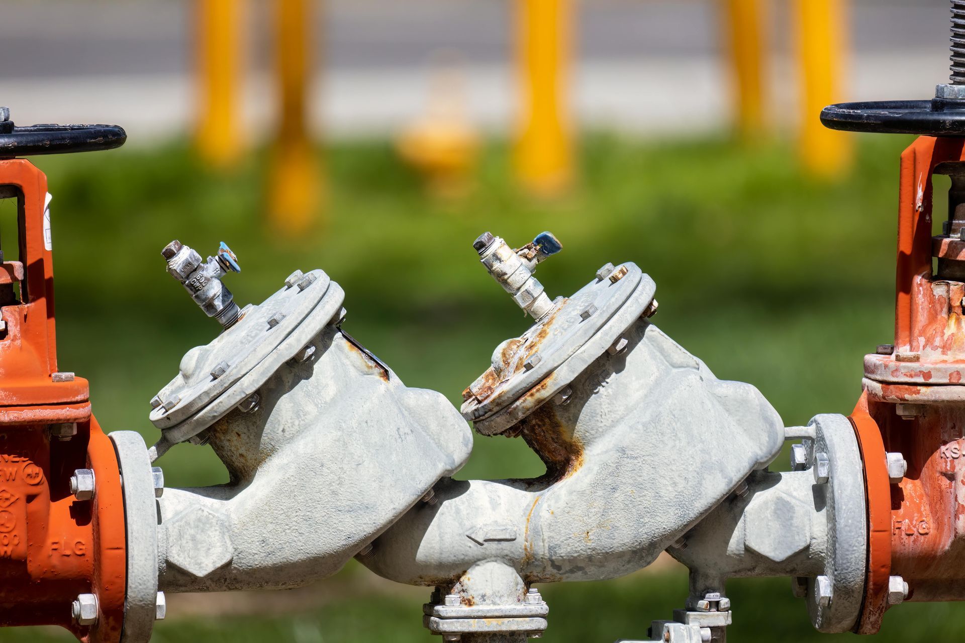 Two white fire hydrants connected to orange pipes on grass Two white fire hydrants connected to orange pipes on grass