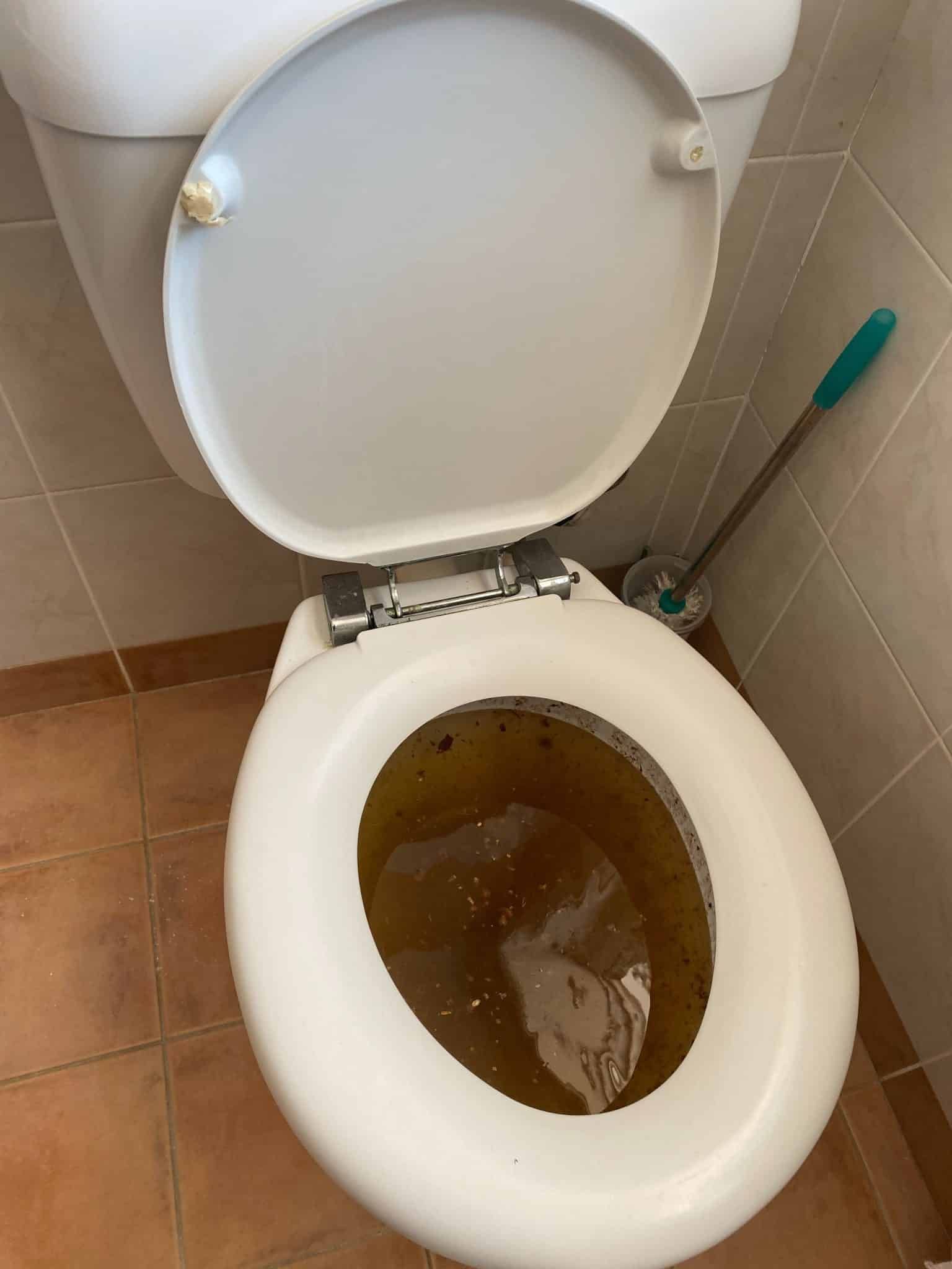 A toilet with the lid and seat raised, containing discolored, brownish water.