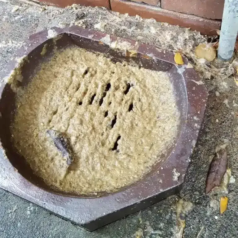 A clogged, octagonal ground drain filled with thick, light-brown sludge and debris on a concrete surface.