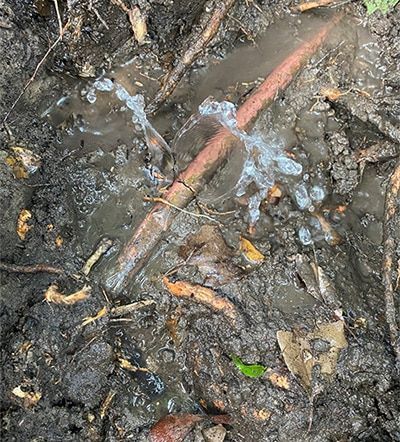 Cracked Copper pipe from tree root pressure