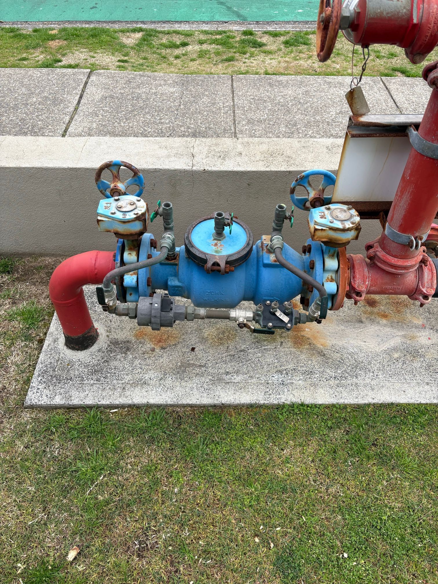A blue water backflow prevention device with red piping and metal valves, installed on a concrete pad outdoors.