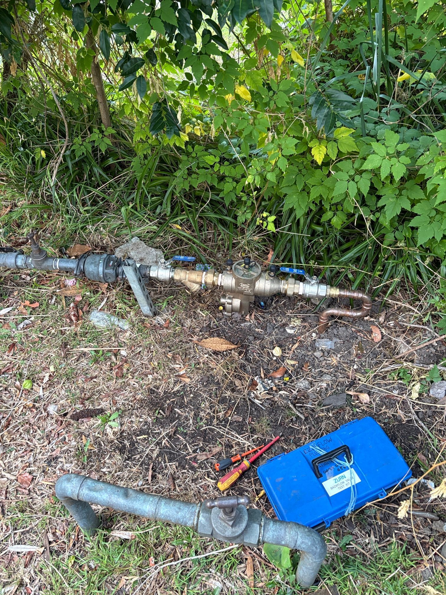 An exposed water backflow prevention device on the ground near foliage, with a blue case and tools nearby.