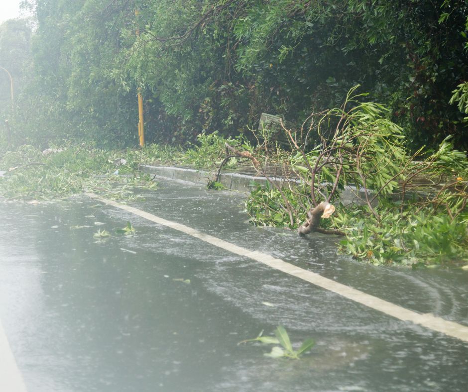 A wet, flooded road with fallen tree branches scattered across the pavement during a rainstorm.