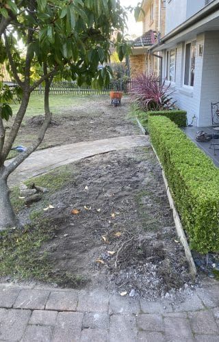 A yard with a bare patch of dirt, a manicured green hedge, a paved path, and a tree, located in front of a house.