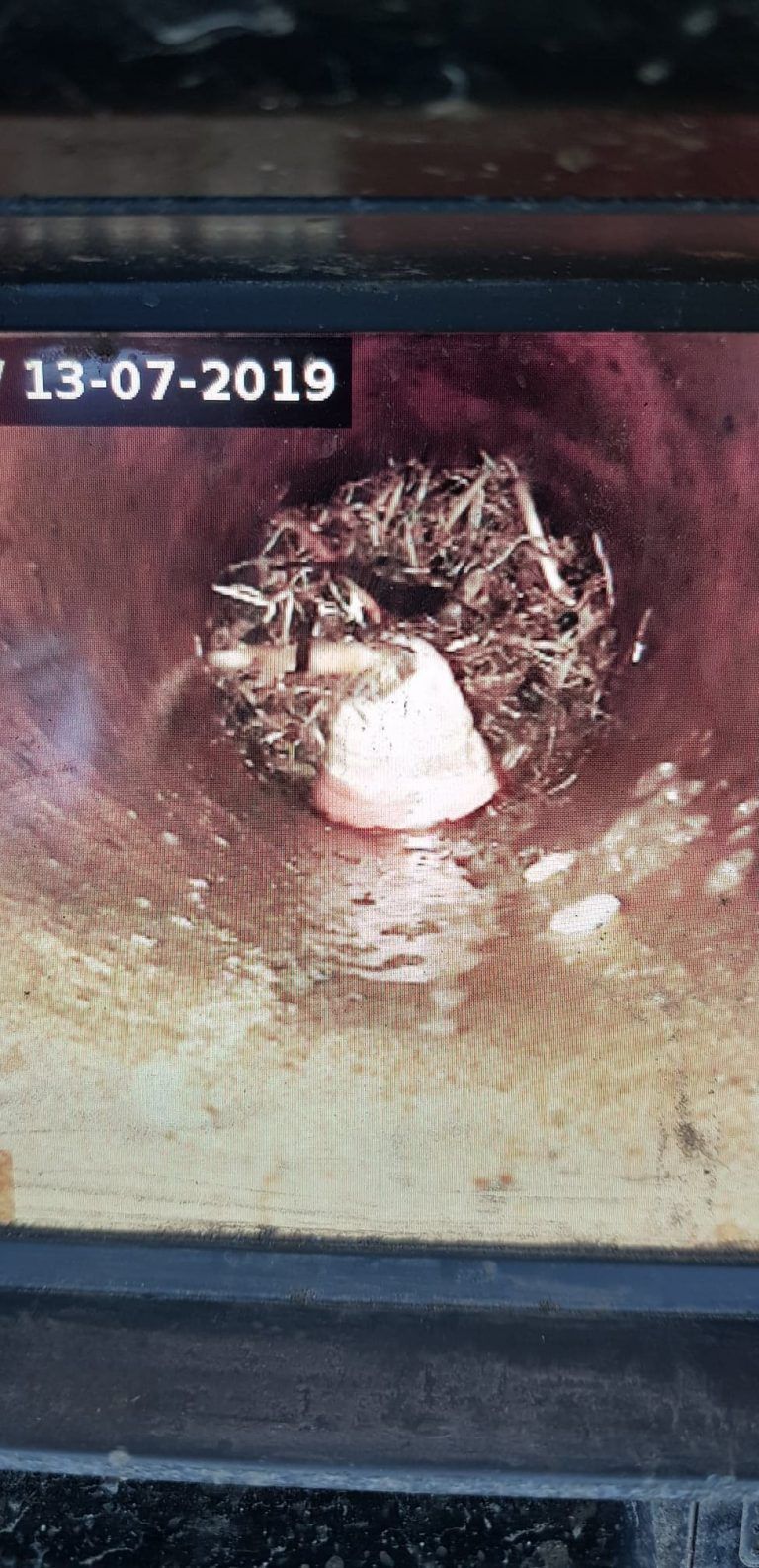 A camera view inside a pipe showing a collection of tree roots and debris obstructing the flow.