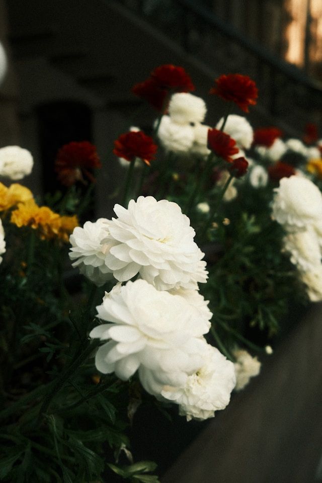 Beautiful flowers arranged for a cremation service in Fernandina Beach, FL