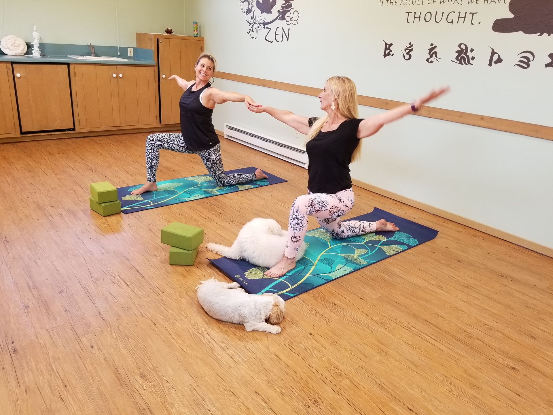 Two women are practicing yoga in a room with a dog